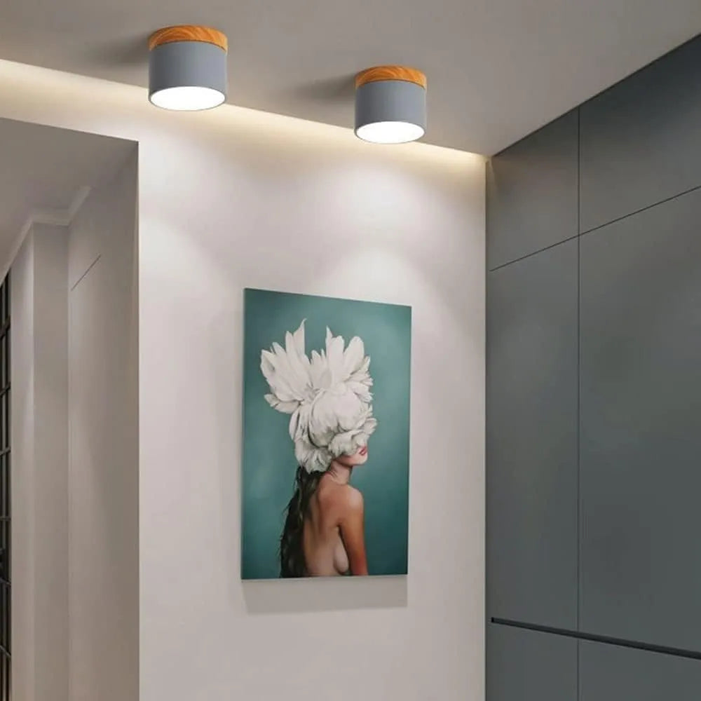 plafon, plafon sobrepor, plafon redondo, plafon de teto, luminaria plafon, luminária de sobrepor, luminária de teto, luminária de teto led, luminária de teto redonda, luminária de teto moderna,