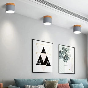 plafon, plafon sobrepor, plafon redondo, plafon de teto, luminaria plafon, luminária de sobrepor, luminária de teto, luminária de teto led, luminária de teto redonda, luminária de teto moderna,