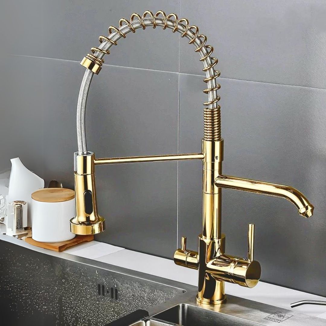 Torneira Para Cozinha Gourmet Monocomando Com Filtro Neptunus — Dourado