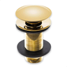 Dourado