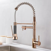 Torneira Gourmet com extensor Rose para cozinha - foto do produto 1