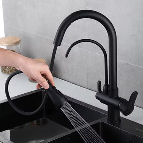 torneira com filtro,
torneira gourmet com filtro,
torneira com filtro para cozinha,
torneira com filtro de bancada,
torneira para cozinha,
torneira gourmet,